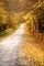 Country road, Burgundy