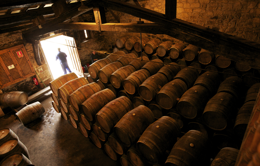Barrel room, Vina Olabarri, Rioja