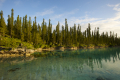 Oro Natural swimming pool